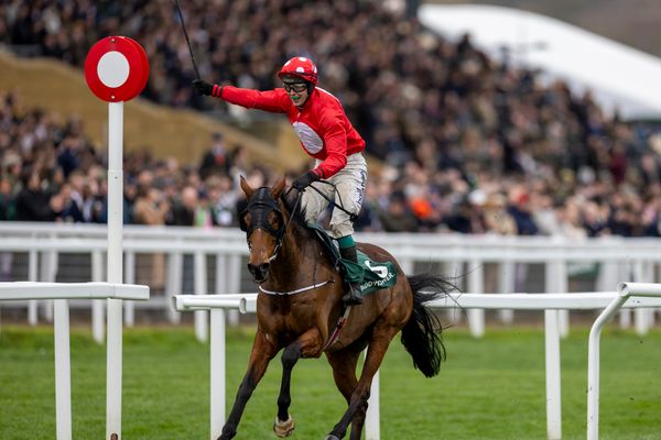 Evergreen 11-year-old Home By The Lee targets French Champion Hurdle with spring Grade 1 hat-trick up for grabs