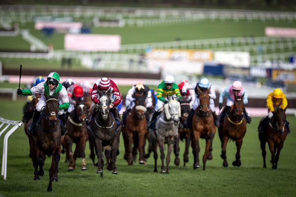 Cheltenham cancels final three racedays to enable drainage work in home straight