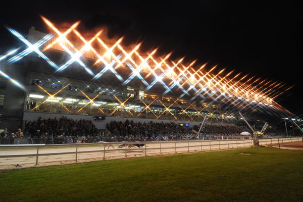 Leading ladies set to light up Shelbourne