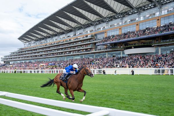 'There's nobody here' - a £10,000 bet on Ombudsman stings the bookies but it's the empty betting ring that has them really worried