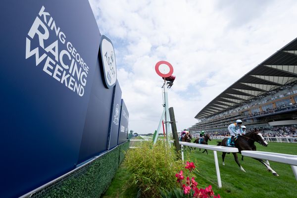 'She has everything going for her’ - Tom Segal pinpoints his King George fancy and it’s not either of the top two in the betting