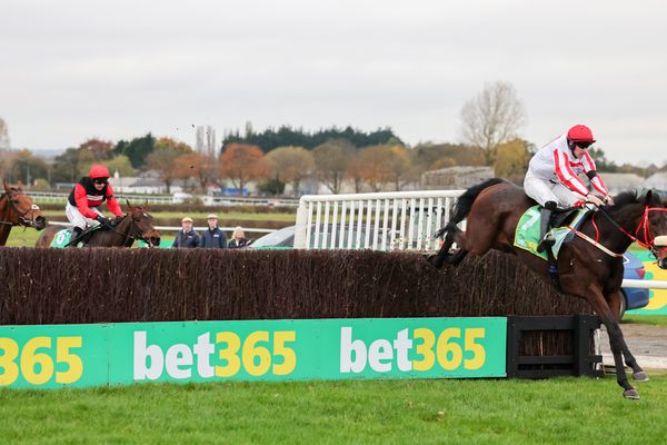 'I wouldn't say we're any closer to good to soft than we were on Friday' - Wetherby misses deluge before its Charlie Hall Chase fixture