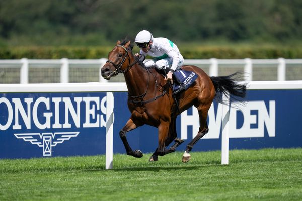 'She's a spectacularly bad price' - Paul Kealy on why Diamond Necklace is way too short and a 'proper' filly that could upset her