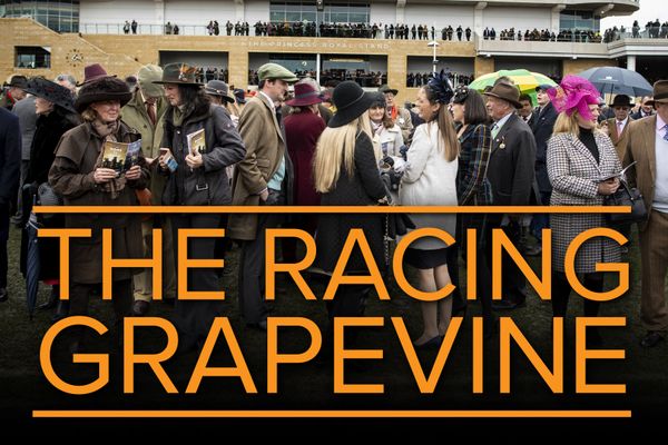 Famous £1.8 million jumps yard that once housed Cheltenham Festival winners set to be revived - this time for Group 1 Flat horses