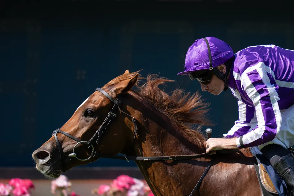 A new Ballydoyle star? Half-brother to Precise set for debut in warm Curragh maiden