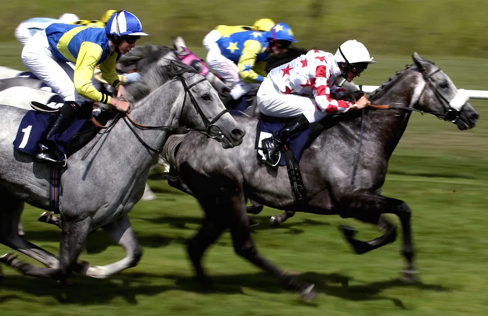 The Grey Horse Handicap: runner-by-runner guide to Newmarket's unique Saturday race