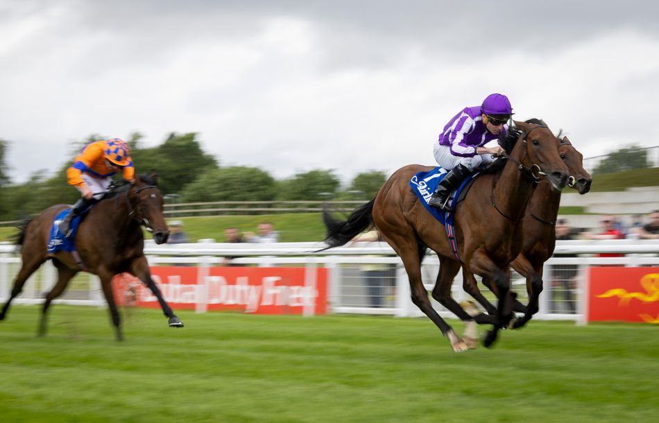 Hunt for another Sun Goddess begins with Doncaster Premier Yearling Sale catalogue revealed
