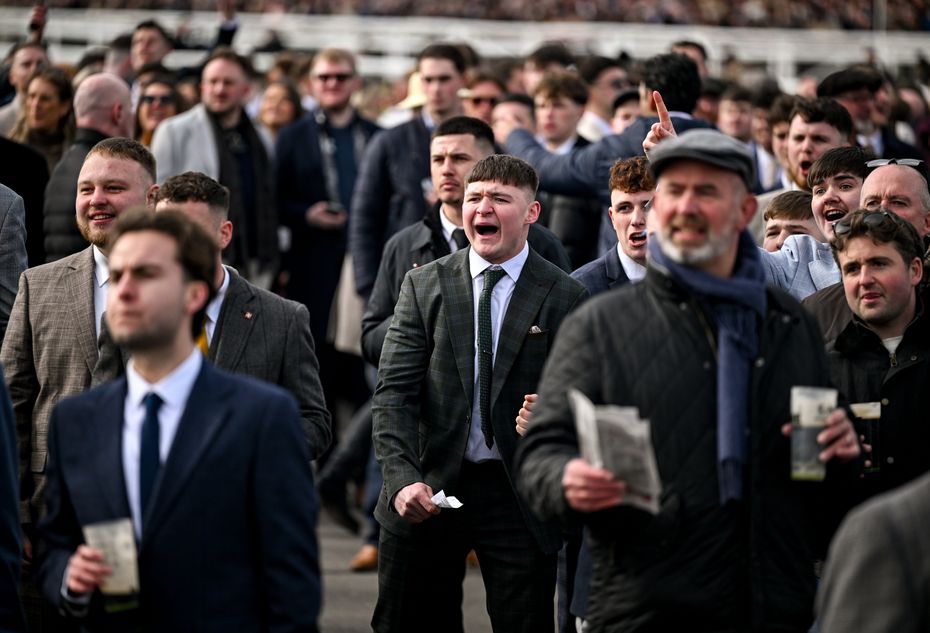 'One of the greatest bets of all-time' - Cheltenham Festival punter bags incredible €558,000 payout