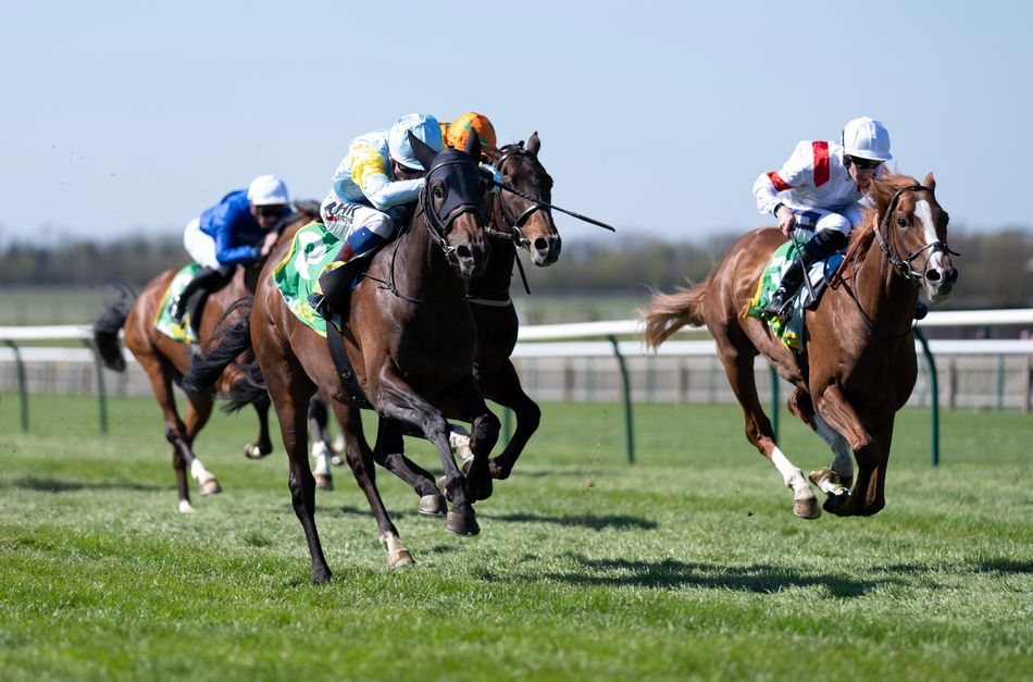 Option D Racing Classic options for Canberra Legend as colt comes good for Ferguson and ...