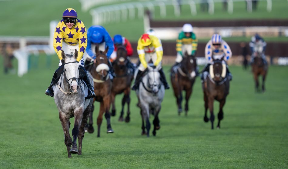 From Majborough to Lulamba - should we forsake or forgive these flopping Cheltenham Festival favourites?