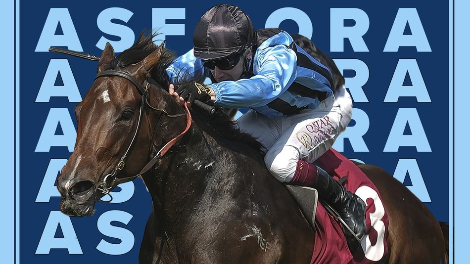 Is there a champion sprinter in the Coral Charge? Or can this 40-1 shot Keith Melrose has spotted crash the party?