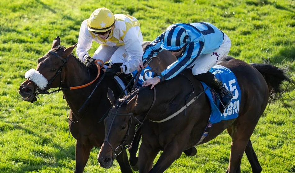 'I didn't know an apprentice could ride like that' – Alphonse Le Grande ...