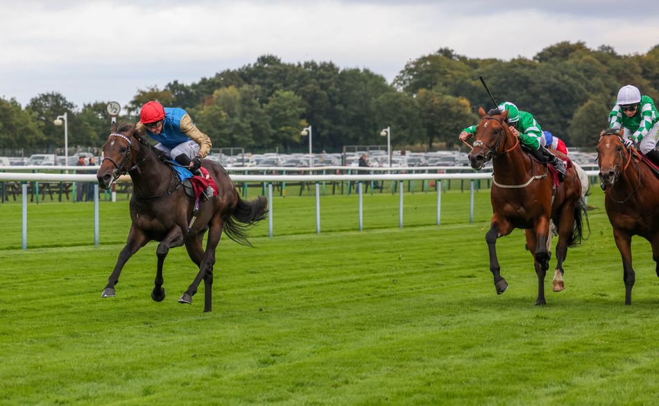 'We're keeping all our options open' - Wathnan's unbeaten Defence ...