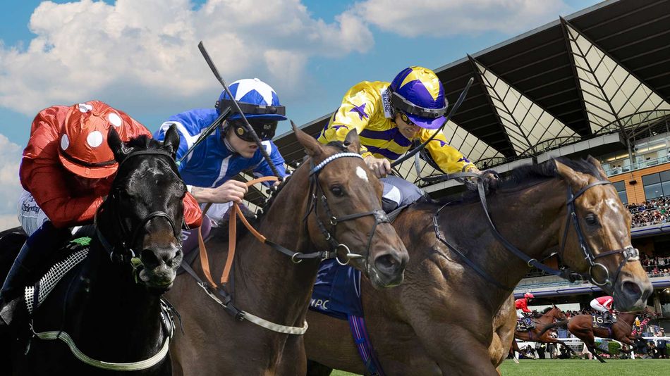 Five Royal Ascot prospects running on Haydock's stacked card - plus key trainer insight