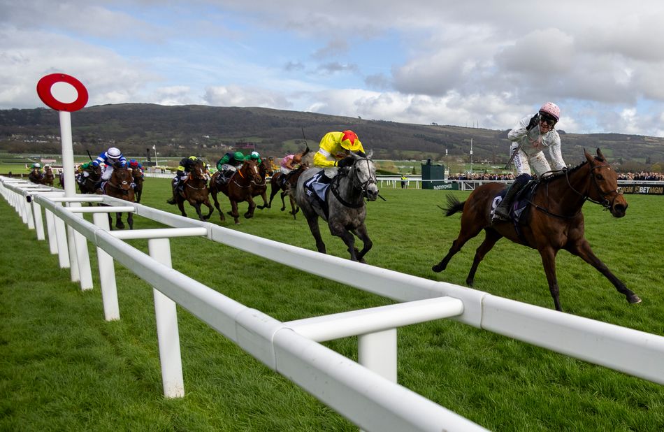 From Ebor hero to Cheltenham Festival glory, Absurde another ace for ...