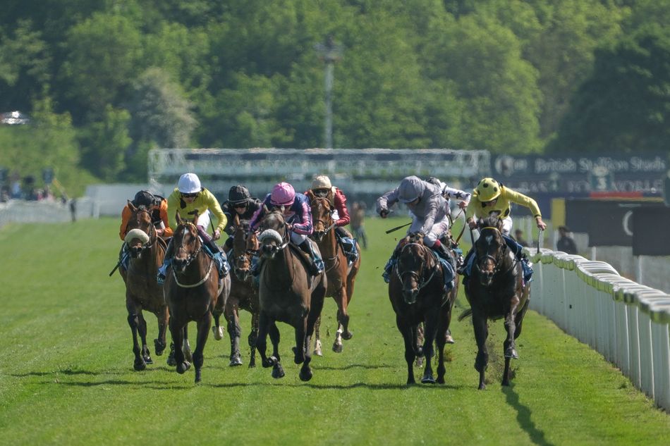 Wathnan Racing Post Wathnan add to burgeoning Royal Ascot team with purchase of two top ...