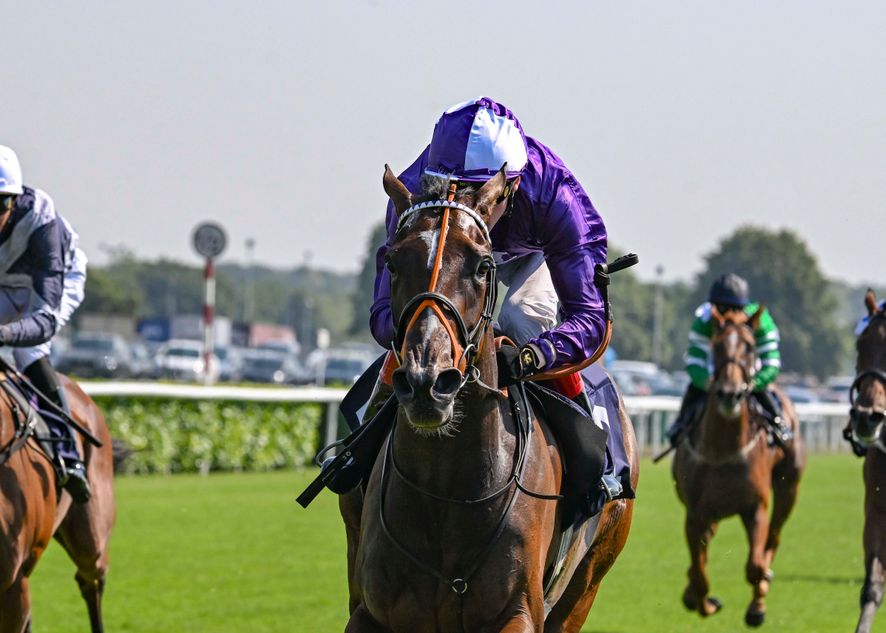 Amo Racing's 2.5 million gns sister to Arc heroine Alpinista off the mark for Sir Mark Prescott at Doncaster