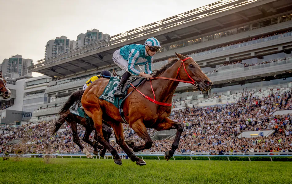 Hong Kong superstar and world's highest-earning racehorse Romantic Warrior retired