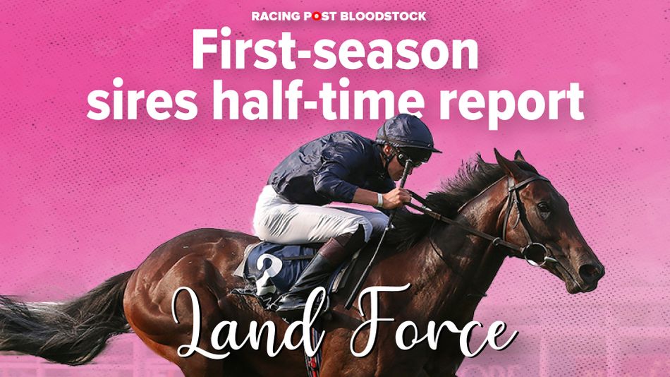 Land Force the lowdown on Highclere Stud's regally bred and promising