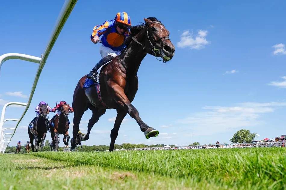 'We might have a bit of pacemaking going on' - Graeme Rodway and Robbie Wilders predict an upset in the Irish Champion Stakes