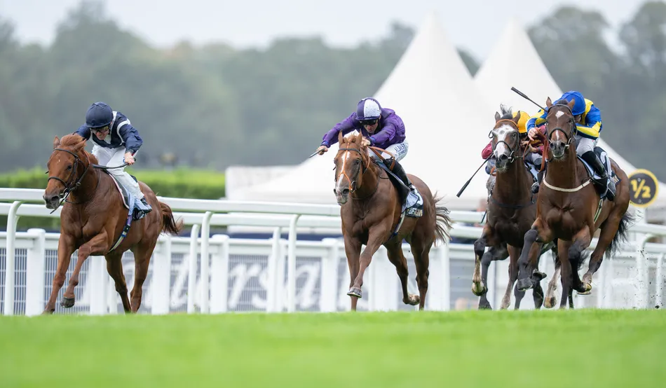 Alfred Wallace puts experience to good use to deny fast-finishing rivals in Solario Stakes