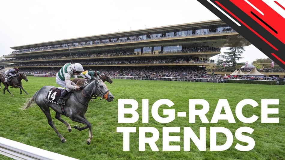 Big-race trends: the key stats that can lead to victory in the Prix de ...