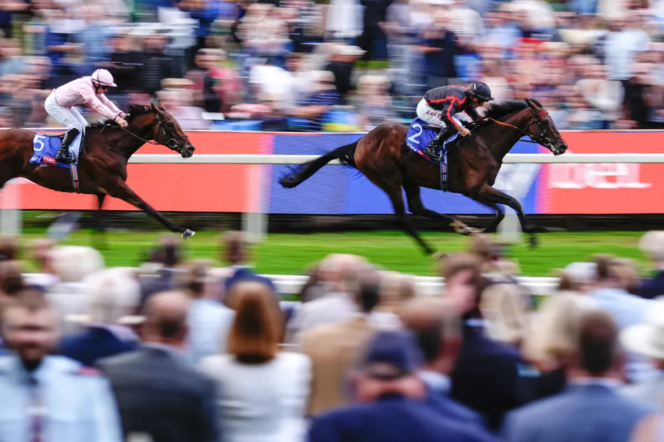 Sister to Group 1 winner Maltese Cross among Arqana October Yearling Sale highlights