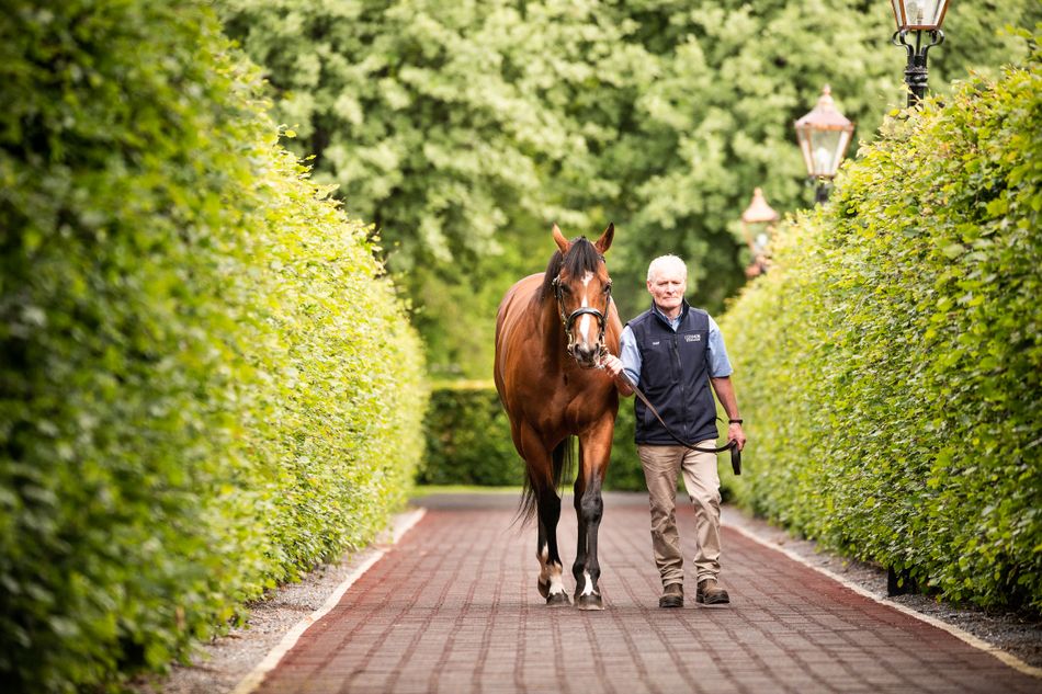 Rogue establishes supremacy over rivals to provide St Mark's Basilica ...