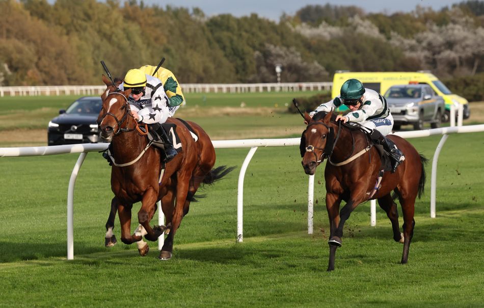 Cudney Racing 'I'd never usually be too confident in a 25-runner race but I think he ...