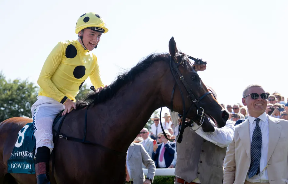 Bow Echo's stunning Sussex Stakes triumph sees him surge to the top of the Cartier Horse of the Year standings