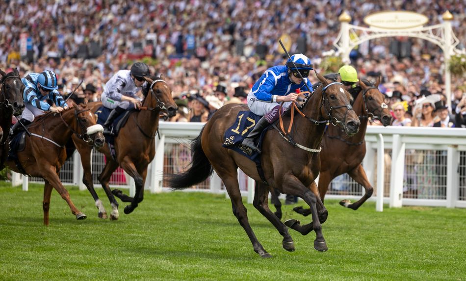 Venetian Sun shines again as 11-8 favourite lands Commonwealth Cup to delight of favourite-backers