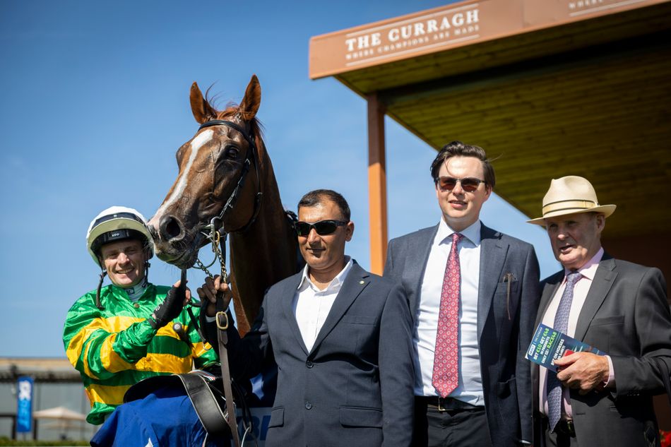 'It'll be an option for sure' - does JP McManus have another big Melbourne Cup hope with Curragh Cup winner Trustyourinstinct?
