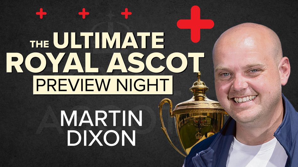 'I think this horse is set for a big season - and you can still get 20-1'