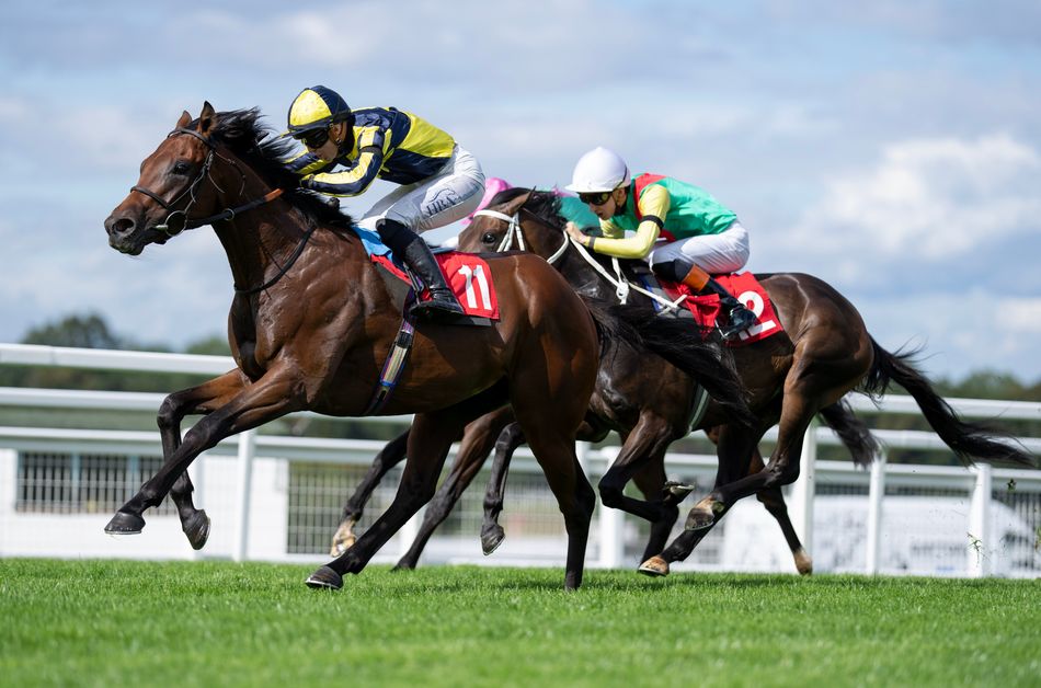 An eyecatcher for the Northumberland Plate and a juvenile who could go right to the top - five things we learned over the weekend