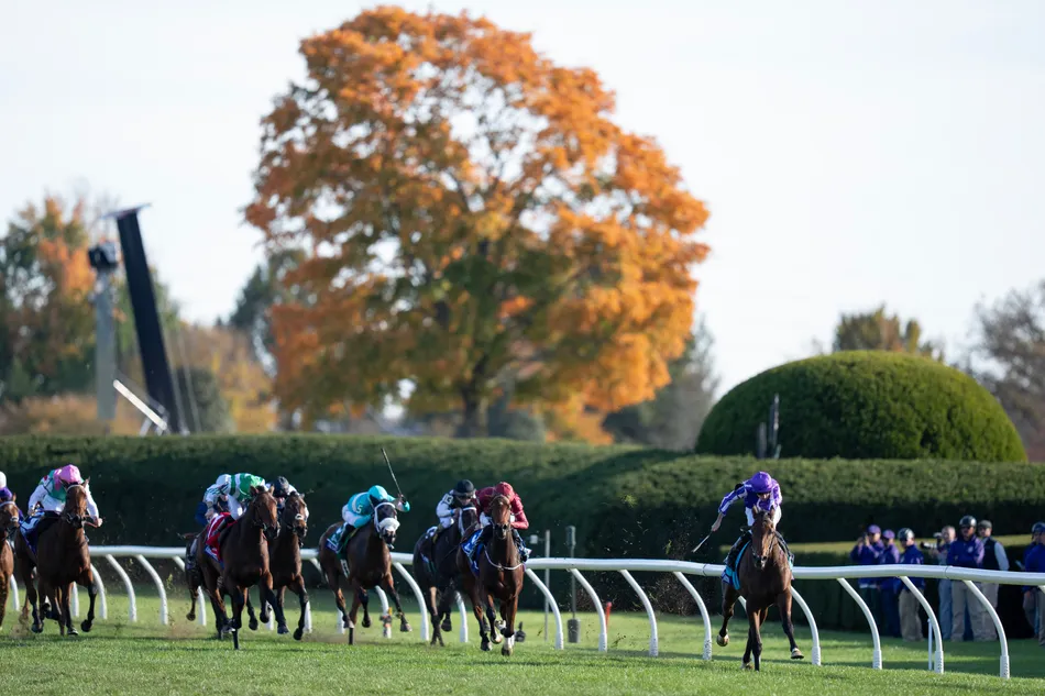 'Special' Sun Goddess dominates Breeders’ Cup Juvenile Fillies’ Turf to ...