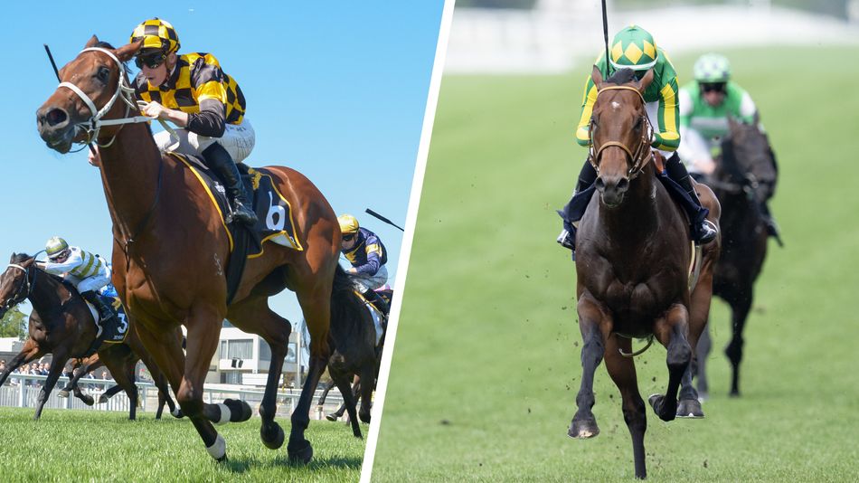 Clueless about the foreign form in the Jubilee? These are the five key international races to get you quickly up to speed