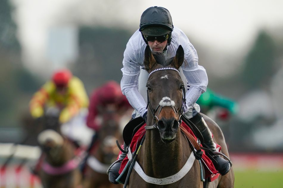 Constitution Hill's greatest wins ranked - Cheltenham destructions, Grade 1 romps and a roof-raising Flat debut