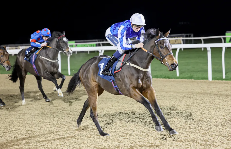 Juddmonte-bred Darn Hot Gallop tops Tattersalls Online October Sale at 49,000gns