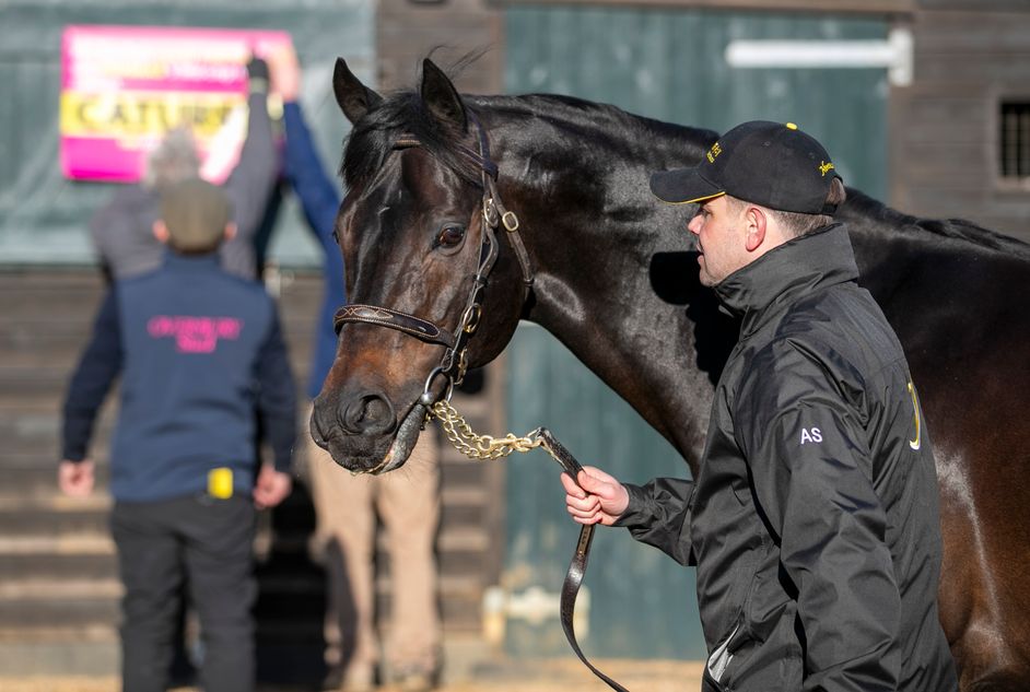 Newsells Park Stud's A'Ali off the mark as Ali Shuffle strikes at ...