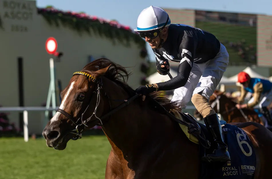 American star Bacio scorches home in devastating all-the-way success in the Nunthorpe