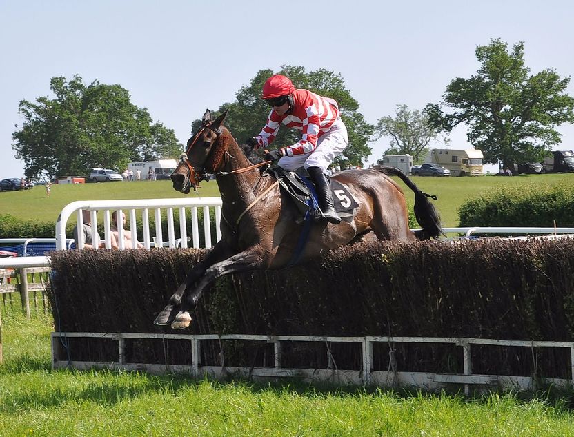 It's all cloak and dagger as subterfuge and secret raid clinch champion horse crown on final day