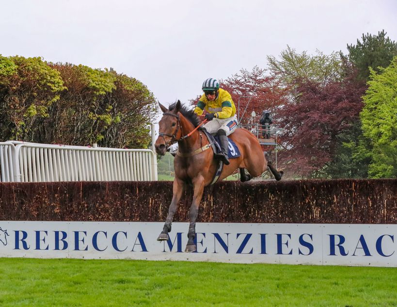 'He's growing with confidence and today was foot-perfect' - Adam Nicol runner brings up fourth course-and-distance success