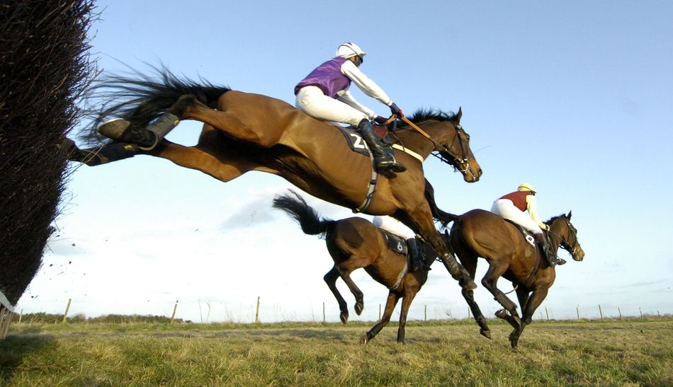 School for jockeys: new hands-and-heels series aims to establish pointing as the go-to place of education for young riders