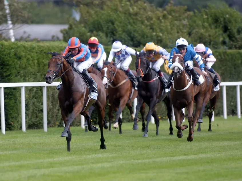 From champion racehorses to world-class sires: the Phoenix Stakes roll of honour examined