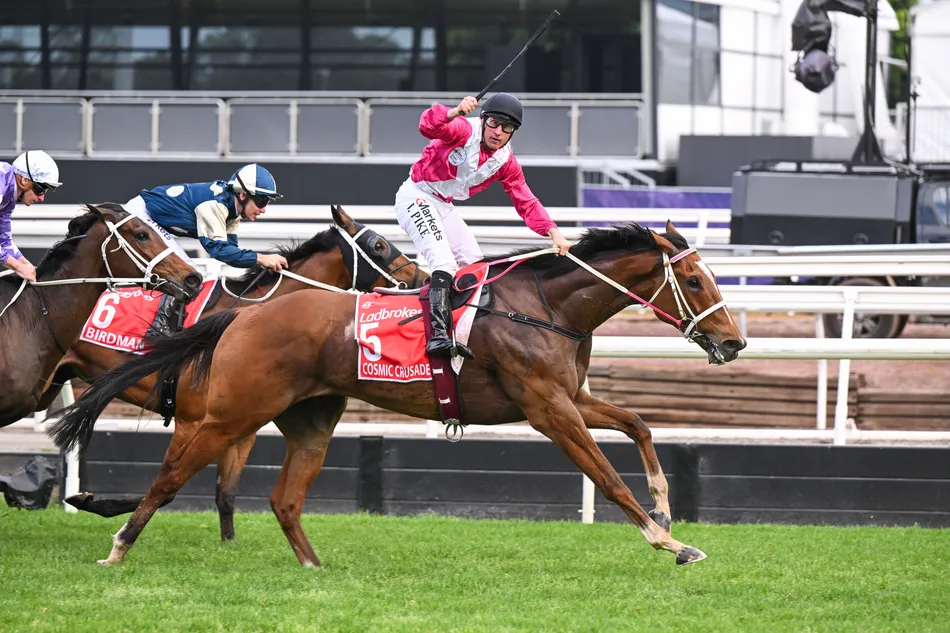 'I've got 15 horses in training, so to win this race is like a dream' - small-scale trainer shocks superpowers in Cox Plate