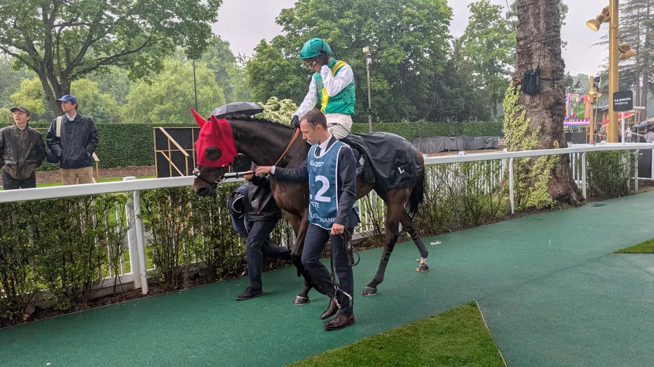Sale Races Live French 1,000 Guineas runner-up The Last Dance added to Arqana December ...