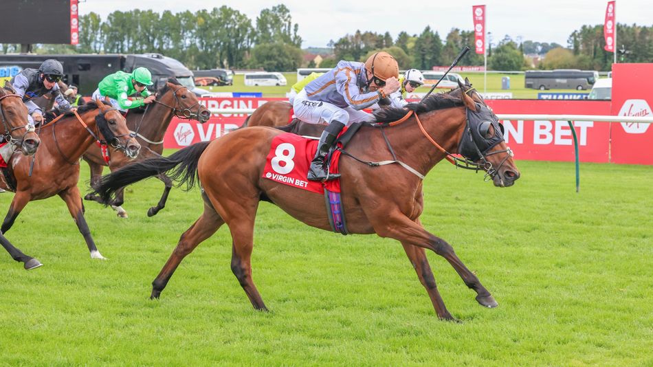 Pool Hand Racing Post 'He’s meant the world to us' - Stewards’ Cup winner and prolific sprint ...
