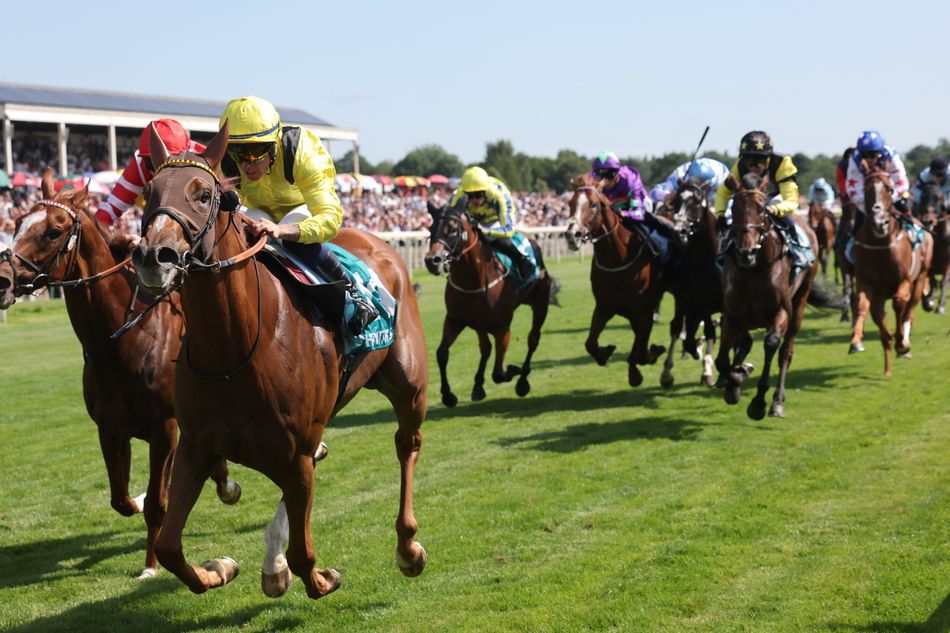 'He suddenly came alive' - Raammee shines in John Smith's Cup under inspired Ray Dawson ride