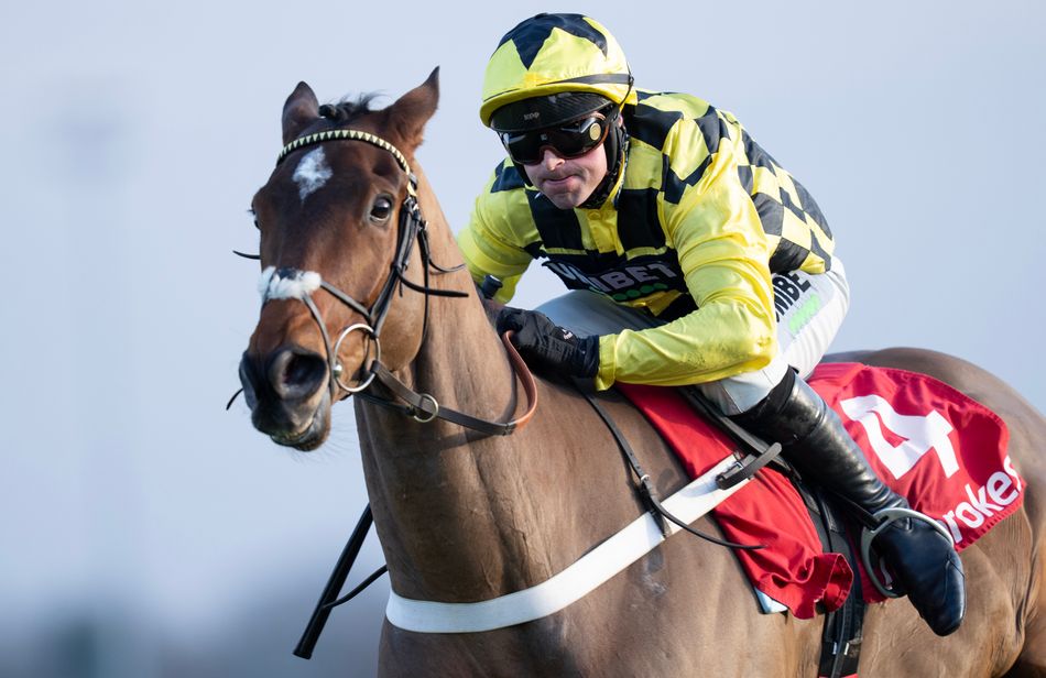 Star hurdler Sir Gino has been put down, trainer Nicky Henderson announces