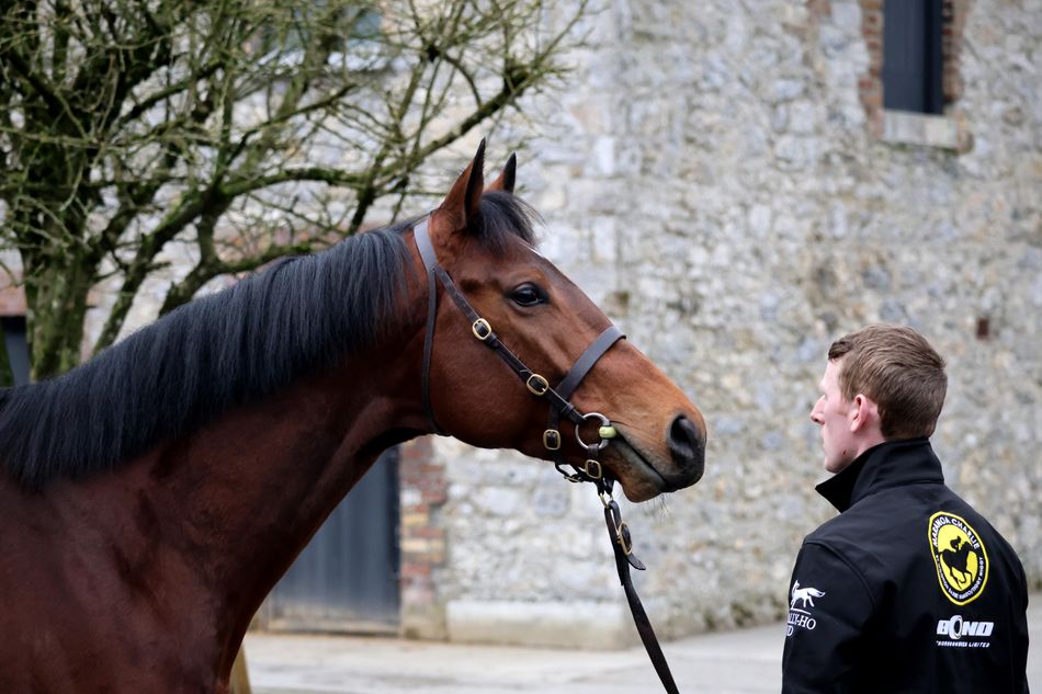Churchill Tyres to sponsor the Beresford Stakes at the Curragh